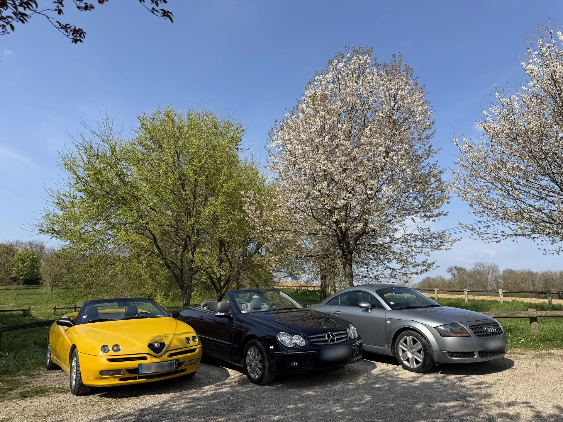 Mercedes CLK — flotte PASSION DAILY