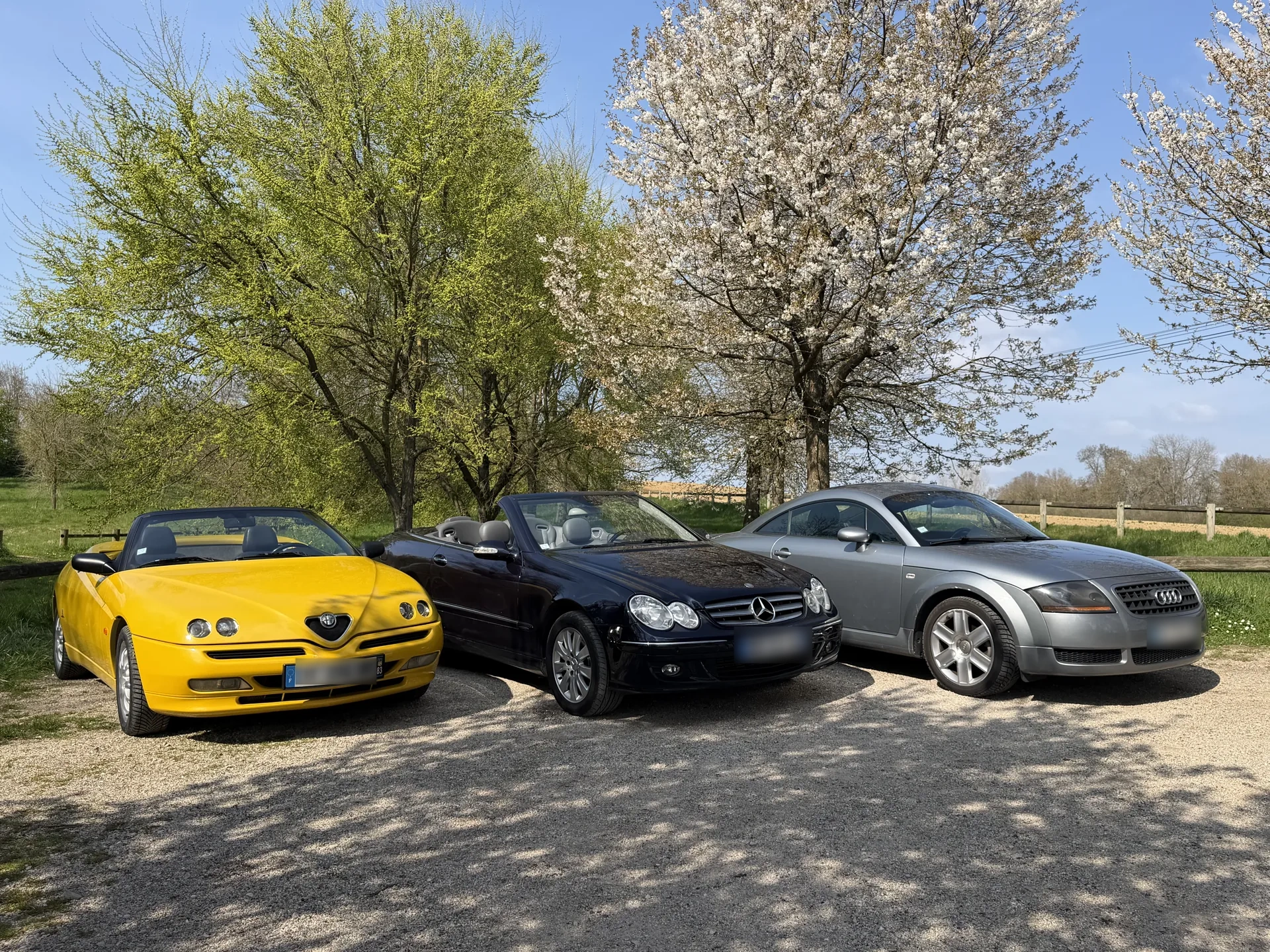 Mercedes CLK — flotte PASSION DAILY
